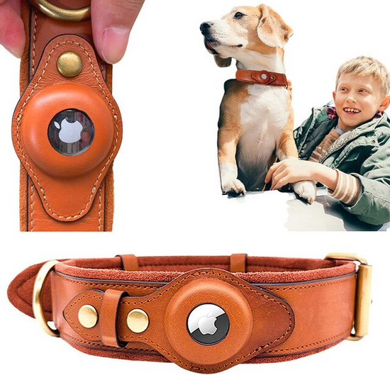 Collier pour chien AirTag