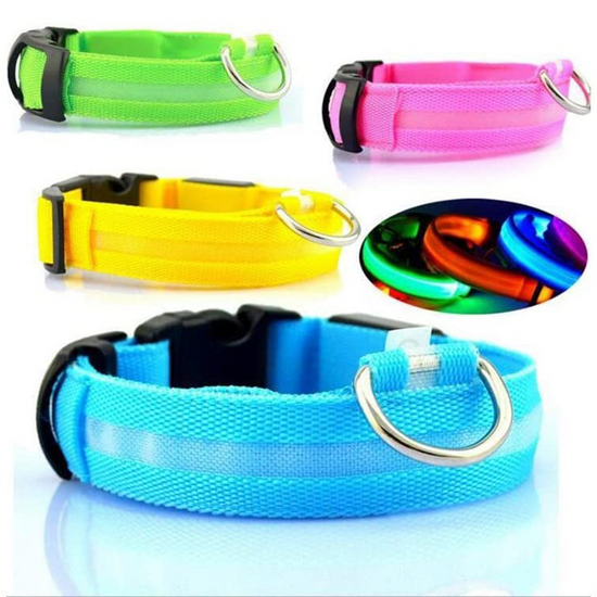 Collier LED Lumineux pour Chien