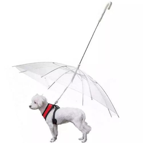 Parapluie pour chien