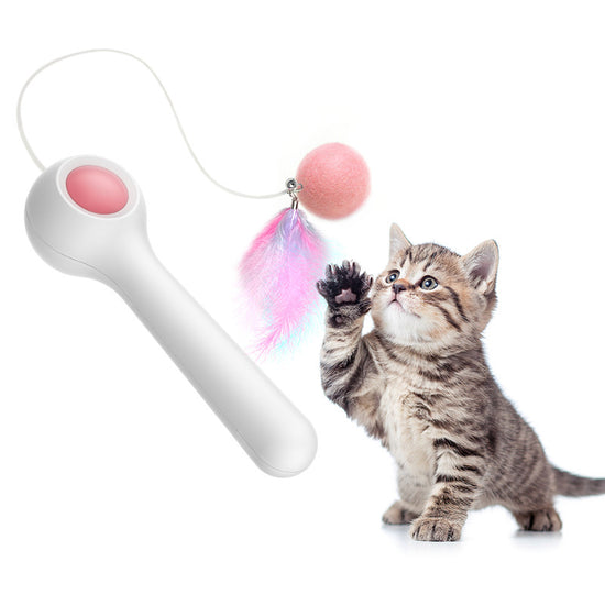 Jouet Interactif pour Chat