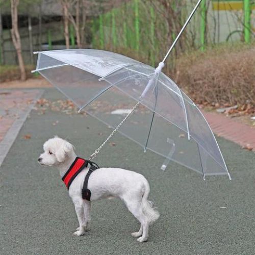Parapluie pour chien