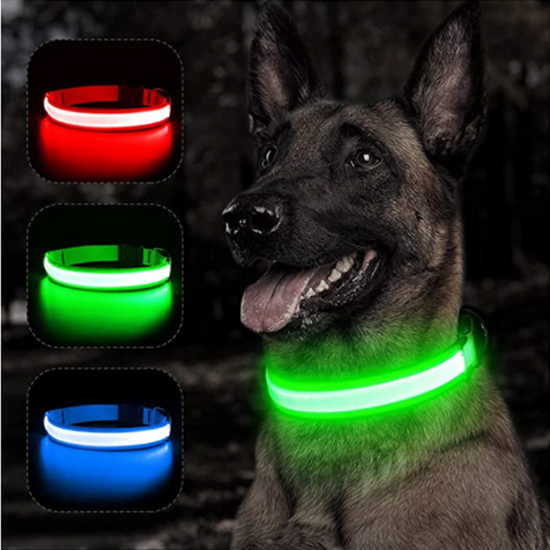 Collier LED Lumineux pour Chien