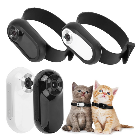 Collier Caméra pour Chats & Chiens