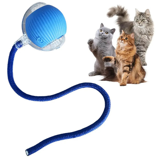 Balle automatique interactive pour chat avec queue lumineuse