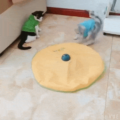 Jouet Interactif Automatique pour Animaux