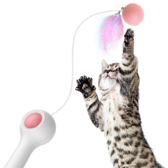 Jouet Interactif pour Chat