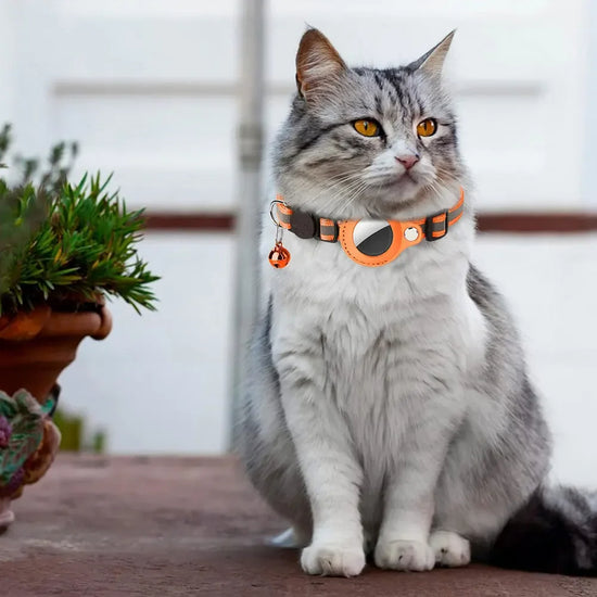 Collier Chat Airtag avec Boucle de Sécurité